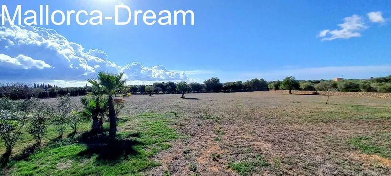 Porto Cristo: With rental license and sea views ! Modernized finca with a stunning pool on over 14,000 m² of land — photo 6