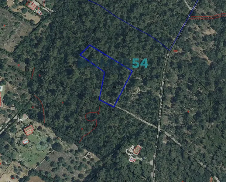 Non-building rural land in Alcudia. Holm oak forest. — photo 3