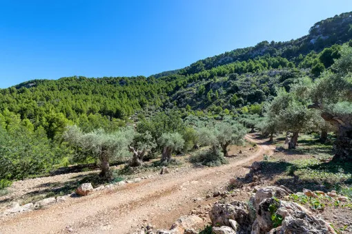 Deià, finca with two houses and large plot in Deià — photo 9