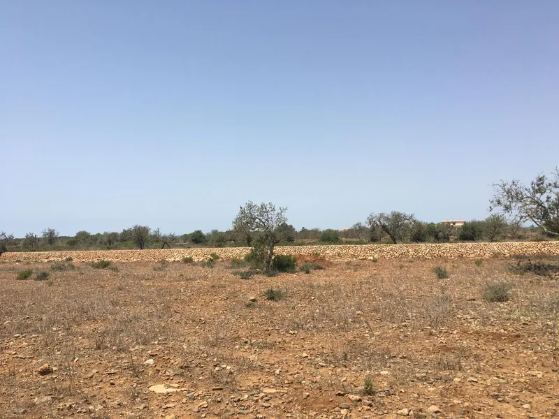 Villa for sale in Es Llombards Santanyi of 420 m2 — photo 8
