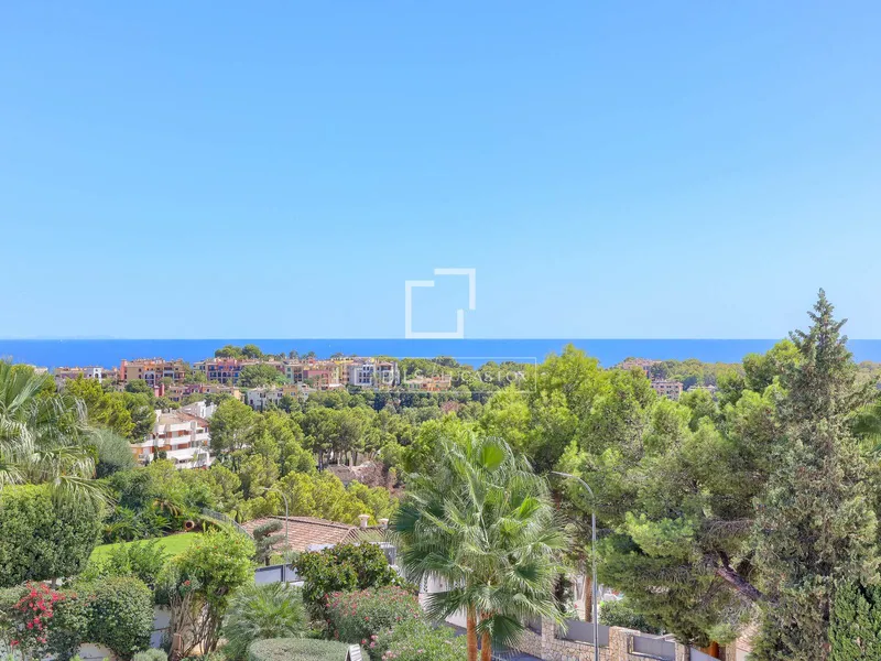 645m² house / villa for sale in Bendinat, Balearic Islands — photo 2