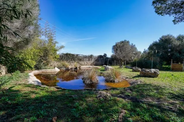 Finca/Country House for sale in Canyamel, Capdepera, Mallorca — photo 9