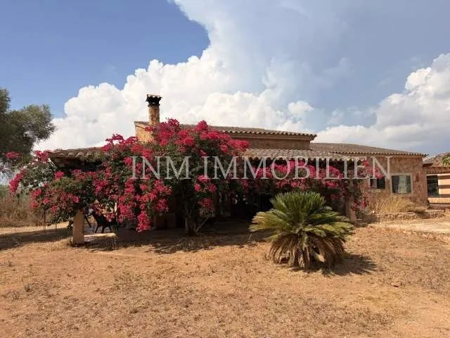 7,130 m² finca with 4 rooms, garage and terrace for sale — photo 1