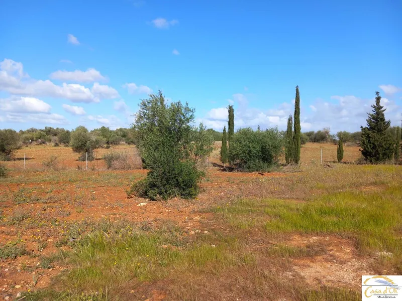 Contemporary Luxury Finca Project with Exceptional Development Potential in Mallorca — photo 1