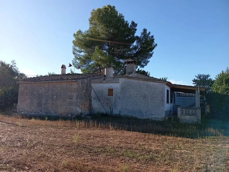 Discover this magnificent rustic estate of 46,000 m2! 🌳 The property features a charming 100 m2 country house, ideal for enjoying — photo 2