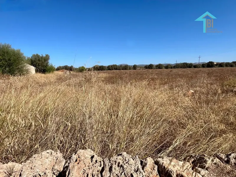 Discover the opportunity of a lifetime in Campos, Mallorca! — photo 6