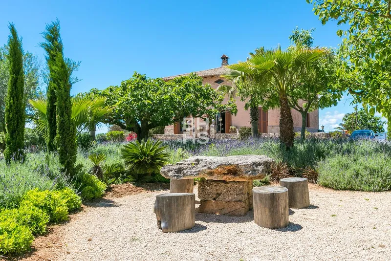 Rustic Finca for sale in Sant Jordi — photo 3