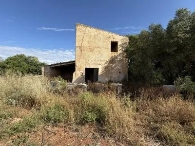 Rustic property - Manacor (outskirts), built surface 85 m², plot surface 28,442 m², 1 room, 1 bathroom — photo 5