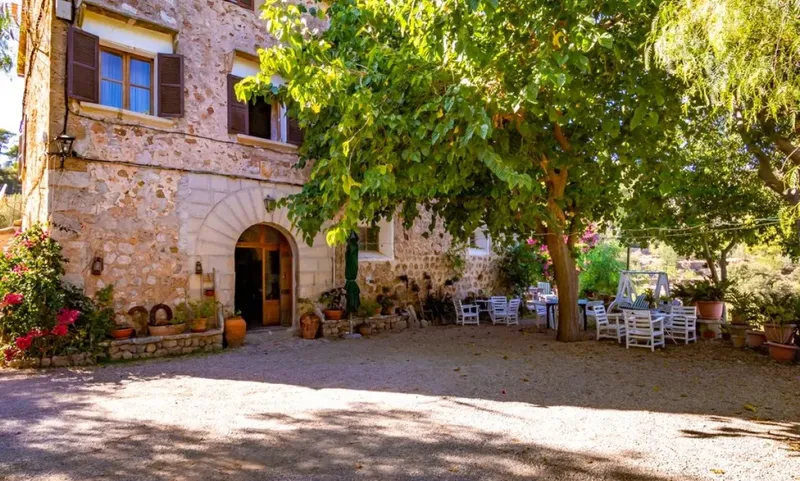 Rustic Finca in Soller - Deia Road — photo 3