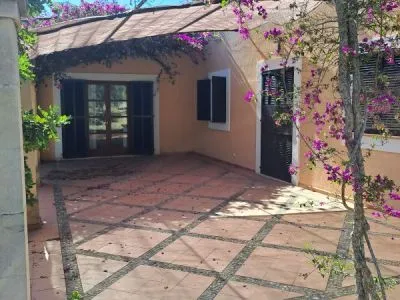 Finca apartment near Porto Cristo — photo 7