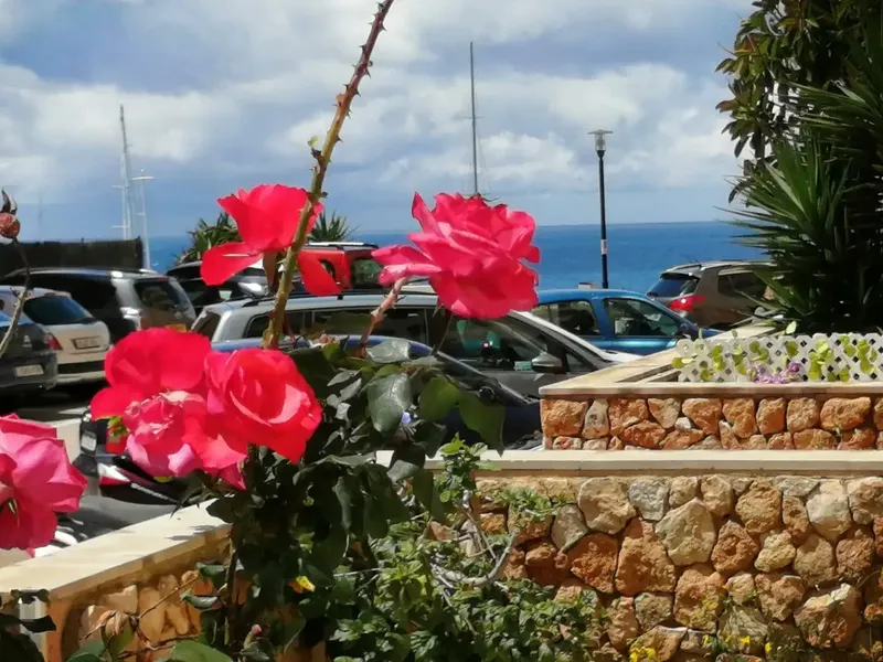 This is a completely renovated ground-floor property in very good condition. It is located in Port Adriano, accessed via the slope — photo 8