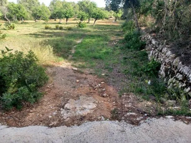 Plot in Felanitx — photo 9