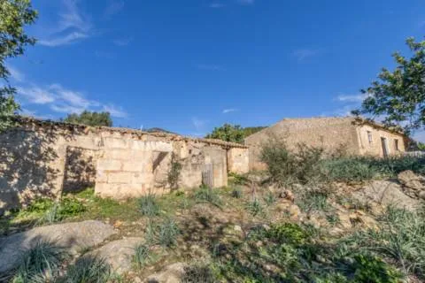 Rustic finca — photo 9