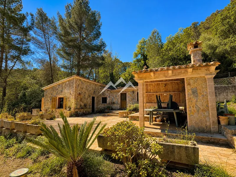 Charming finca just 2 minutes from Puigpunyent — photo 6