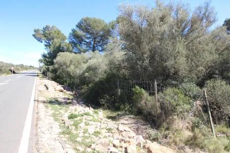 Rustic land - Llucmajor (Cala Pi-Vallgornera), plot surface 100,158 m², distance to the sea 3 km — photo 6