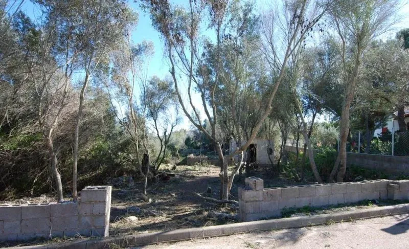 Urban plot with open views in Cala Santanyi — photo 5