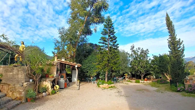 Stone house with land in Sóller — photo 4