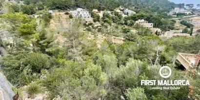 Real estate picture 0 Ref. No. 81335 — photo 4
