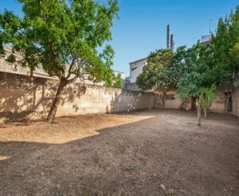 Land for Sale in Manacor — photo 5