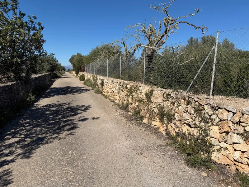 Rural land in Santa Margalida, plot surface 25574.5 m² — photo 6