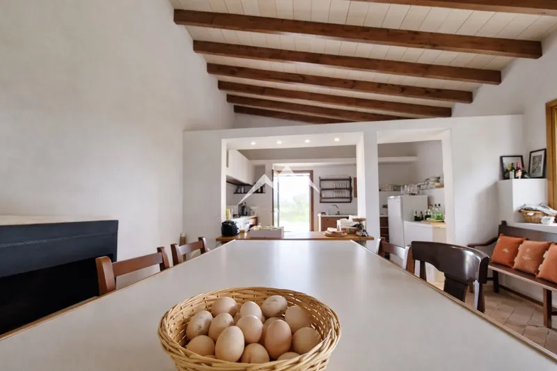 Large Estate of 192,000 m² — photo 5