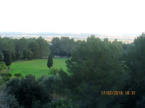 Wonderful Mallorcan estate finca near Alcudia with views, to renovate — photo 2