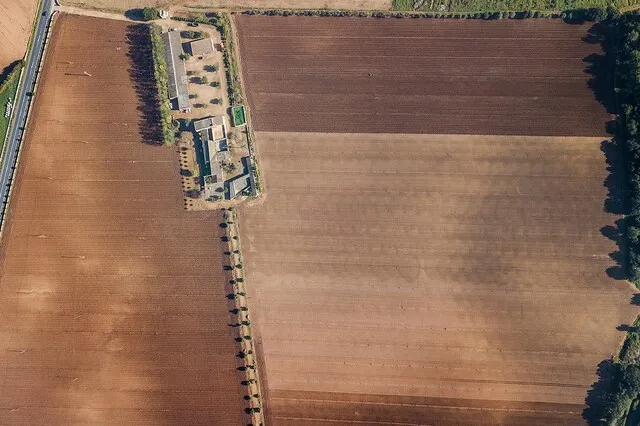 Enormous Mallorca country property with investment potential for sale in Llubí, Mallorca — photo 11