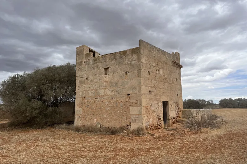 Large building plot near Campos for individual finca project — photo 2
