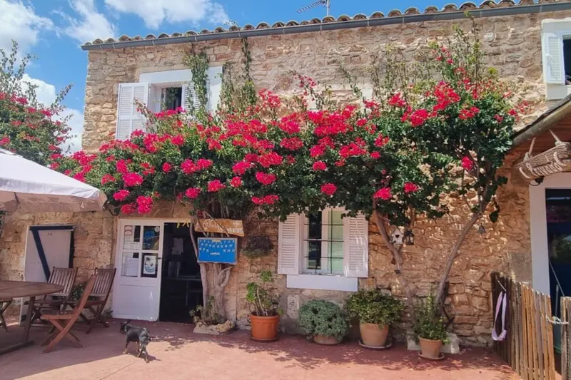 Finca with license for up to 23 places and pool near Calas de Mallorca — F 50 CM — photo 4