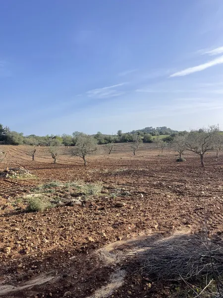 Building plot between S’Alqueria and Cas Concos — photo 4