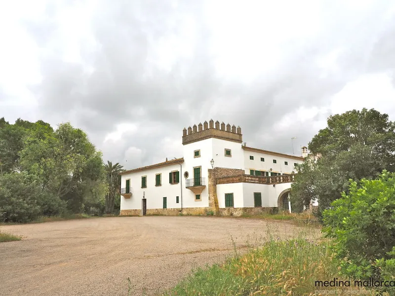 Rustic finca in Maria de la Salut — photo 12
