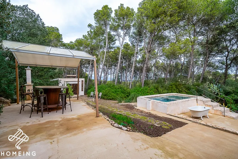Unique rustic finca in a pine forest. Excellent state of preservation. — photo 7