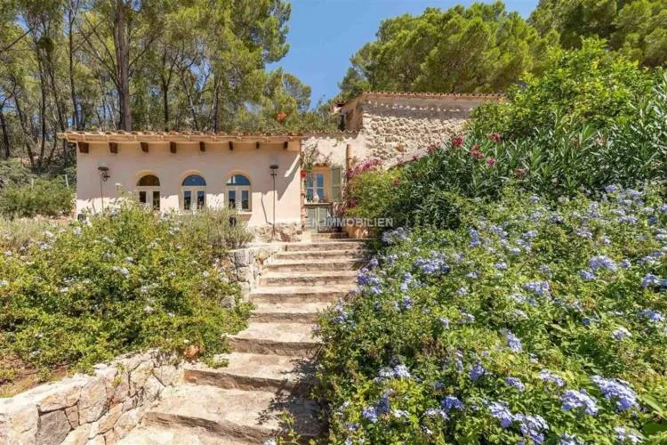 Finca S'Arracó Port d'Andratx Mallorca for Sale — photo 5