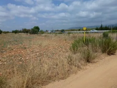 Rural Land - Binissalem, Built Surface 8502 m², Plot Surface 43192 m² — photo 4