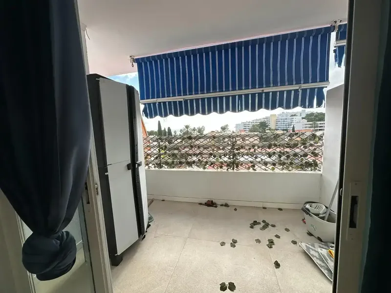 Oportunidad única en una de las zonas más demandadas de la costa de Calvià. — photo 6