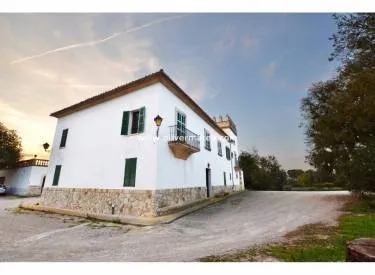 finca in Maria de la Salut — photo 11