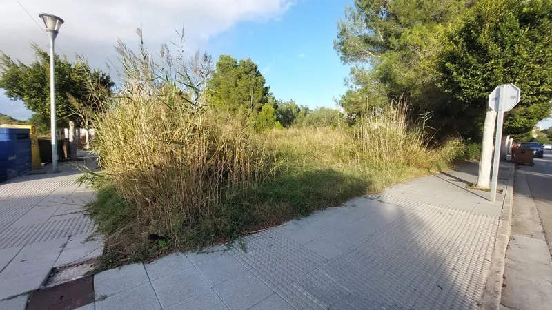 Buildable urban plot of 1,327 m2 in Port d'Alcudia — photo 1