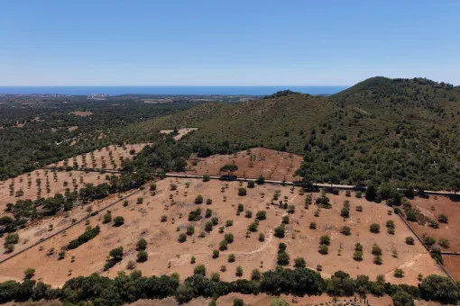 Cala Mandia, Beautiful Plot with Stunning Panoramic Views and Project near Cala Mandia — photo 4