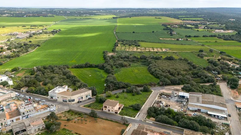 Land in ses Salines, Province of Balearic Islands — photo 9