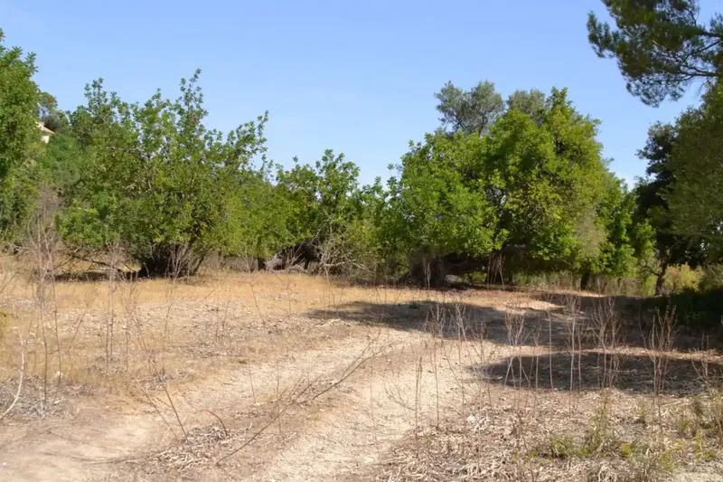 A step from the village we have this rustic estate of more than 14,000 m2, with an old construction of about 50 m2, there is the possibility of co — photo 5