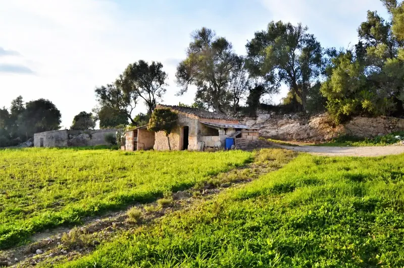 Set of three rustic plots on common rustic land, agricultural interest area of 22547 m2 located in one of the most beautiful areas of — photo 7