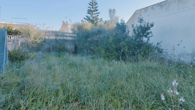 Exchange. Buildable plot in S'Estanyol. Near the sea and the port — photo 6