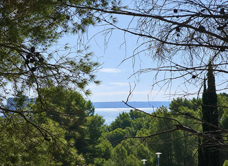 Plot with sea views, 600 m from the sea, in Cala Vinyes, Calviá — photo 1