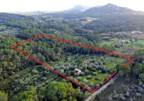 Exceptional Rustic Plot with Building License — photo 4