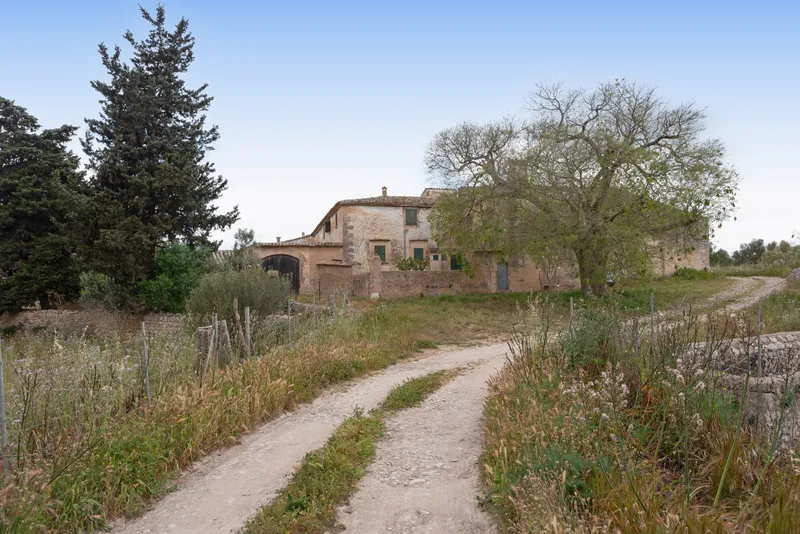 Impressive historic estate in Algaida, Mallorca. — photo 12