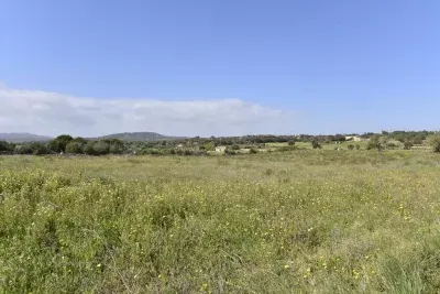 Rustic building plot in a quiet area of Son Carrió. — photo 1