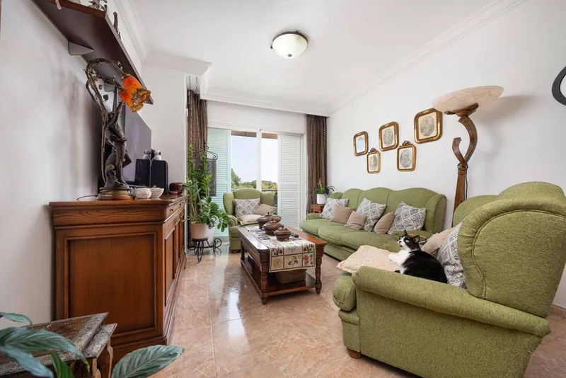 Apartment in Alcúdia, Province of Balearic Islands — photo 3
