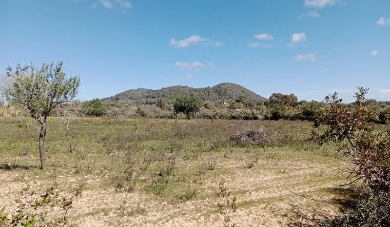 Country Land near Llucmajor — photo 4