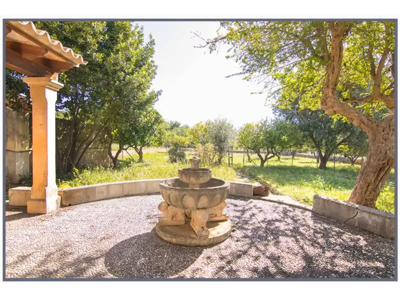 Si buscas tranquilidad en uno de los mejores pueblos de la isla situado a los pies de la sierra de Tramuntana, esta es la casa que estabas b — photo 5