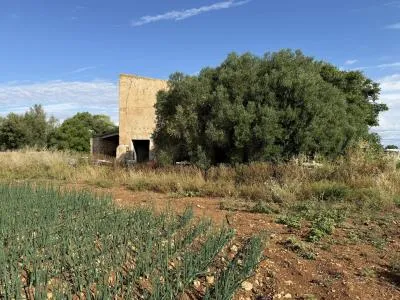Rustic property - Manacor (outskirts), built surface 85 m², plot surface 28,442 m², 1 room, 1 bathroom — photo 4